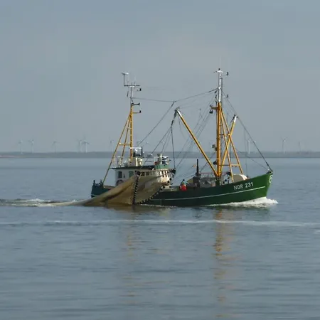 Nordwind Dornum
