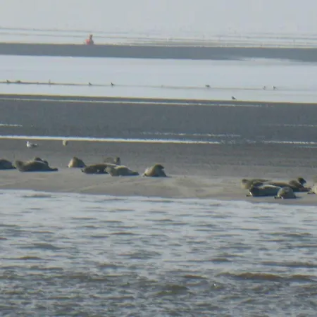 Semesterbostad Nordwind